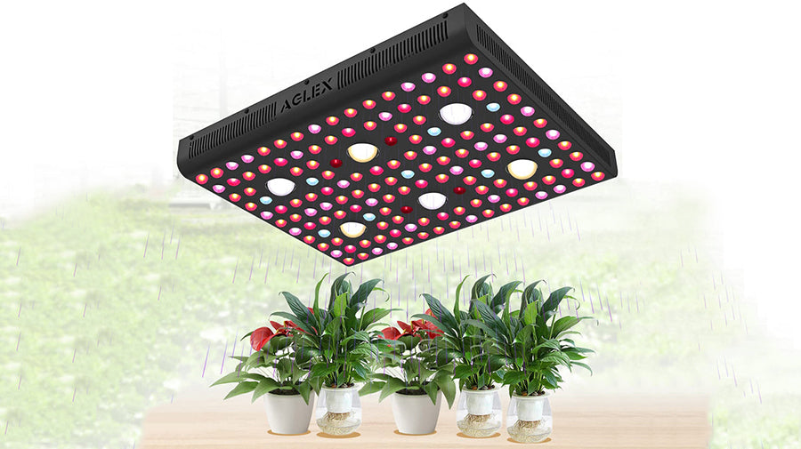 How to Use Grow Light for Indoor Plants? – Aglexs